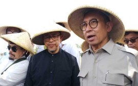 teknik-salibu-tingkatkan-produktivitas-padi-secara-signifikan