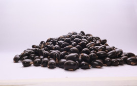 terapi-osteoartritis-dengan-kacang-kara-benguk
